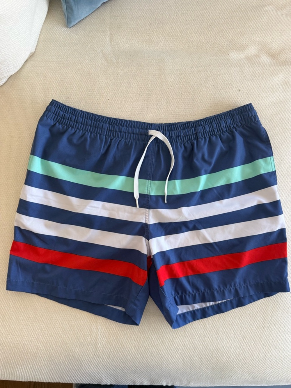 Chubbies Multi Colored Striped Swim Trunks
